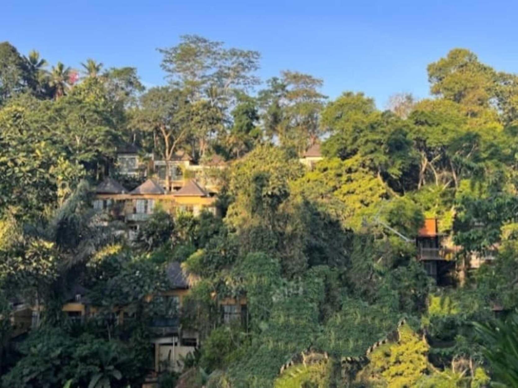 Pondok Kungkang Villa 2 Ubud Kültér fotó